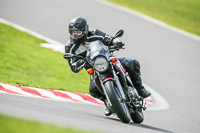 Oulton-Park-21st-March-2020;PJ-Motorsport-Photography-2020;anglesey;brands-hatch;cadwell-park;croft;donington-park;enduro-digital-images;event-digital-images;eventdigitalimages;mallory;no-limits;oulton-park;peter-wileman-photography;racing-digital-images;silverstone;snetterton;trackday-digital-images;trackday-photos;vmcc-banbury-run;welsh-2-day-enduro
